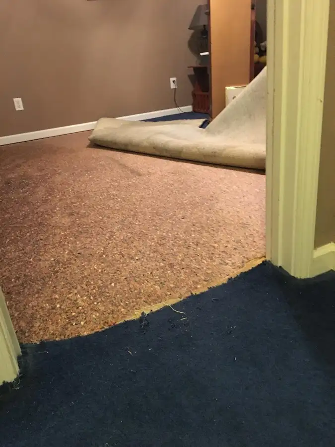Carpet pad removal revealing water damage during Drying & Dehumidification in Orchard Homes