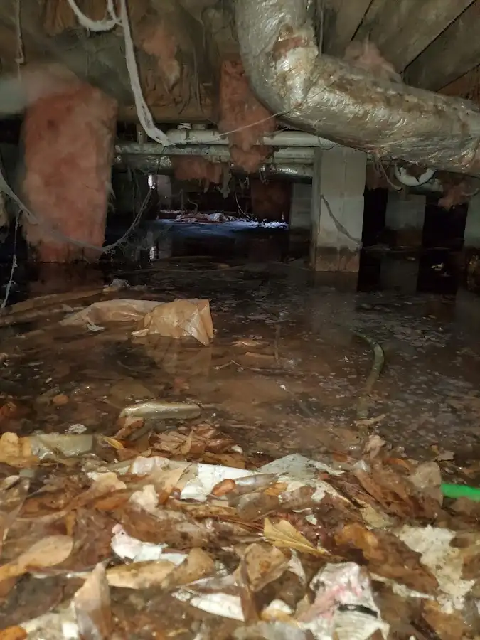 Crawl space flood assessment for Commercial Water Damage Restoration in Orchard Homes