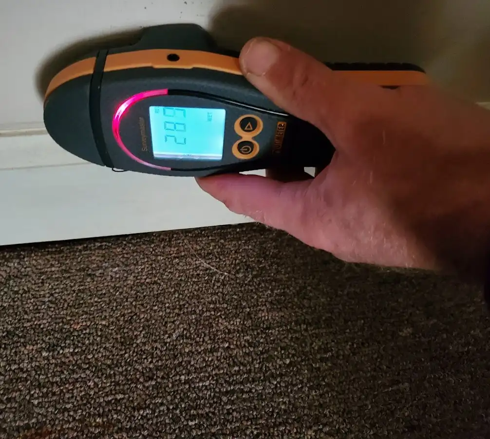 Moisture detection at baseboard during Sewage Cleanup & Sanitation in Orchard Homes